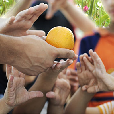 Image of an adult hand holding an orange surrounded with hands of several children